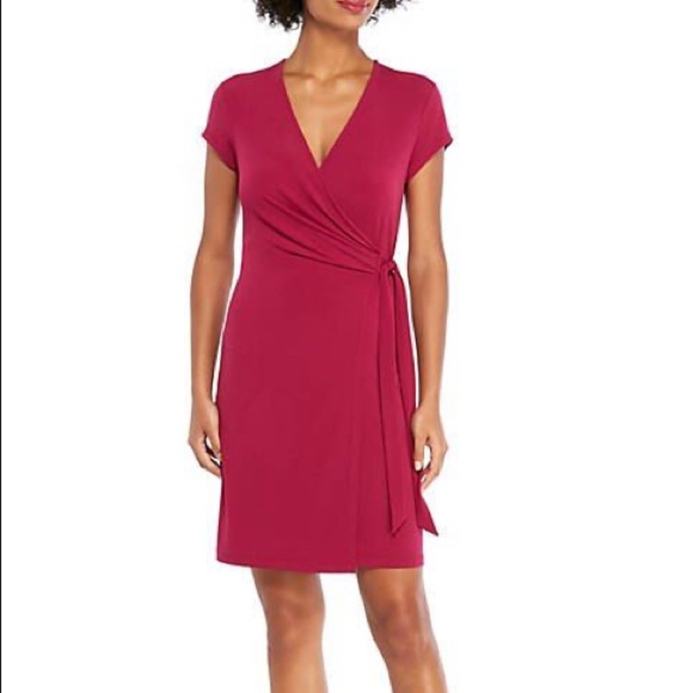 NWT The Limited Pink Wrap Dress in Size XS